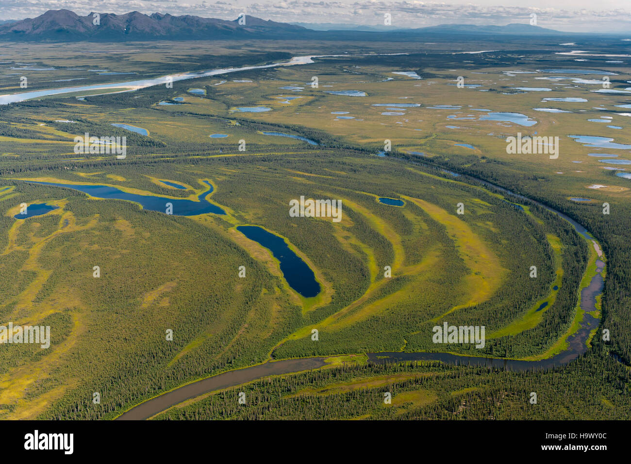 Questa fotografia mostra le zone umide lungo il fiume Kobuk in Alaska. Note per il suo ecosistema eterogeneo, queste zone umide sono un habitat critico per la fauna selvatica, in particolare per gli uccelli migratori. L'immagine evidenzia la bellezza naturale e l'importanza ecologica del paesaggio dell'Alaska. Foto Stock