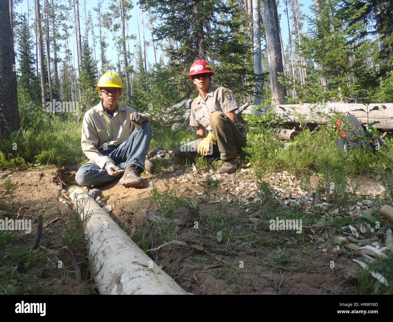 Una fotografia del parco nazionale di Yellowstone, scattata nel 2012. L'immagine cattura le caratteristiche geotermiche uniche del parco, i paesaggi vivaci e la variegata fauna selvatica, mostrando la bellezza naturale e l'importanza ecologica dell'area. Foto Stock
