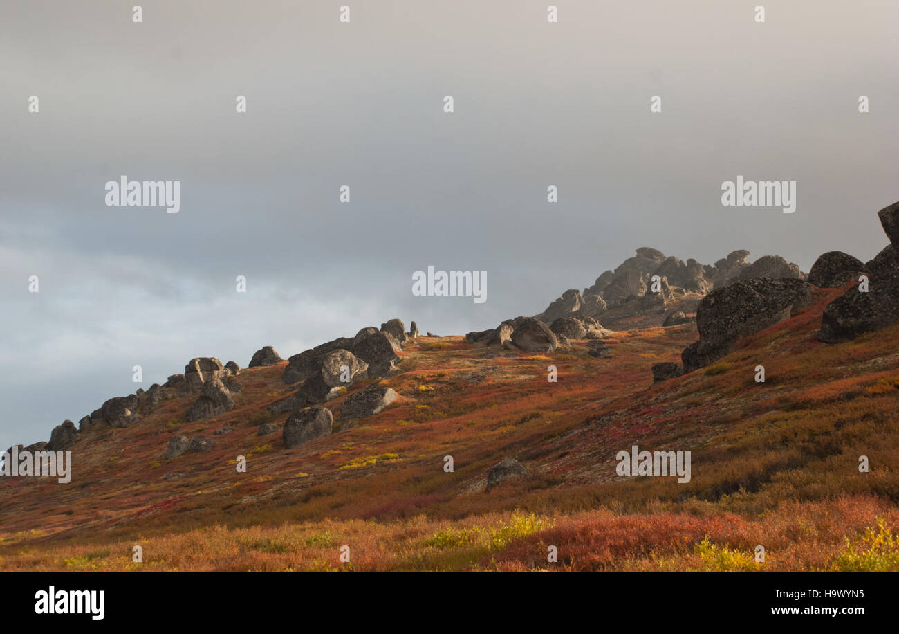 Il Bering Land Bridge è una massa storica che un tempo collegava Asia e Nord America durante l'era glaciale. Ha facilitato la migrazione di esseri umani e animali tra i due continenti, giocando un ruolo cruciale nei primi insediamenti umani. Foto Stock
