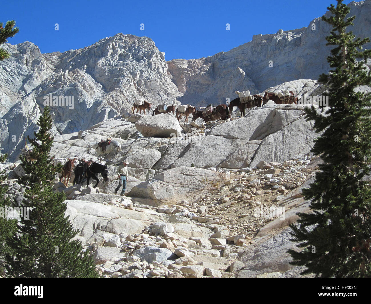 Lee Roeser guida un gruppo escursionistico su Mt. Whitney, che mostra le sfide e i premi di questo iconico percorso nella Sierra Nevada, una destinazione popolare per gli appassionati di attività all'aria aperta. Foto Stock