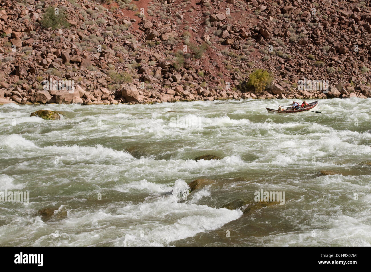 Una barca dory che naviga nell'impegnativo Hance Rapid nel Grand Canyon, parte di un popolare percorso fluviale. La scena mostra l'esperienza emozionante di esplorare il fiume Colorado del Grand Canyon attraverso il rafting avventuroso. Foto Stock