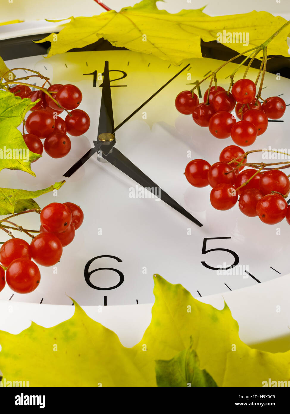 Ore 5. Orologio con foglie e rosso pallon di maggio. Foto Stock
