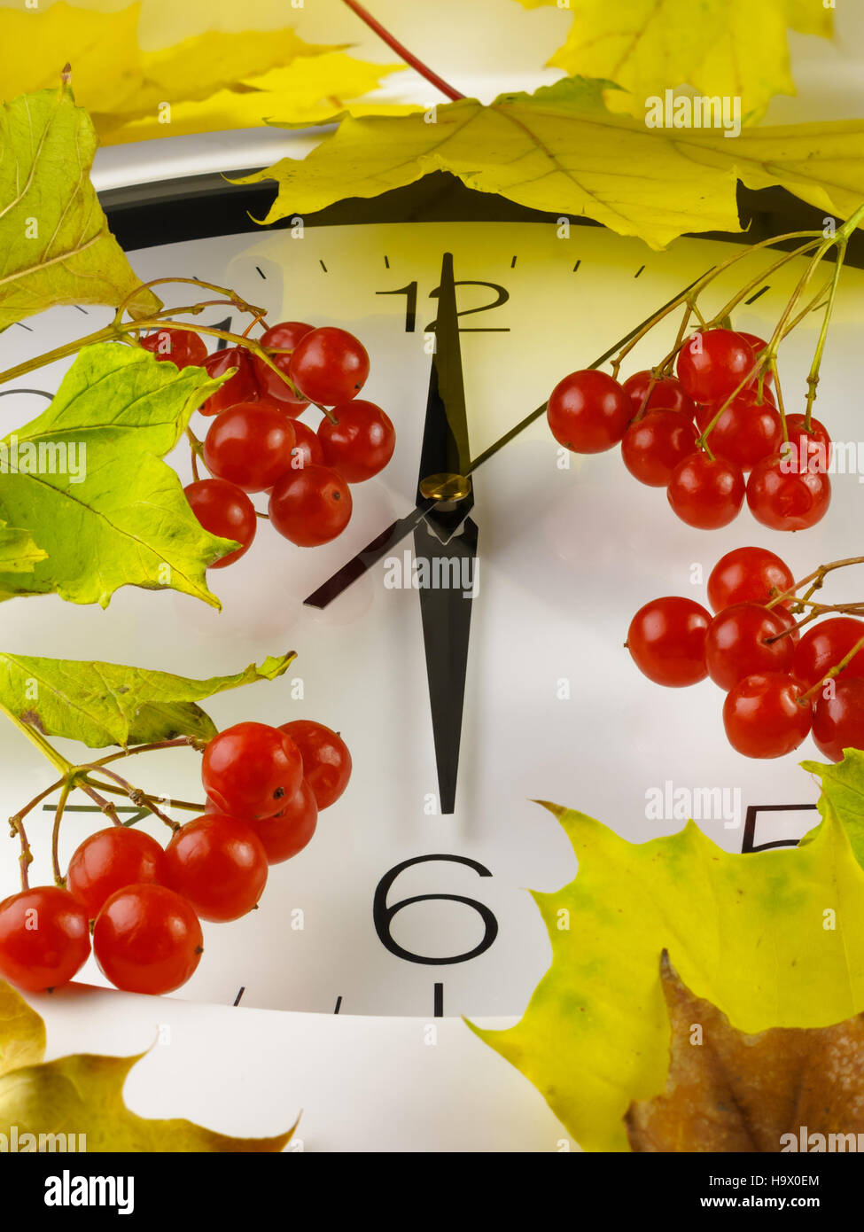 6 ore. Orologio con foglie e rosso pallon di maggio. Foto Stock