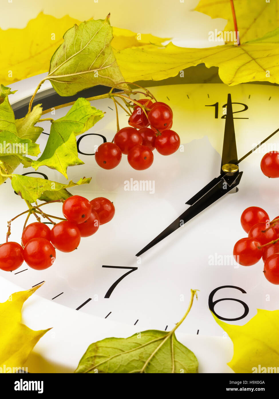 7 ore. Orologio con foglie e rosso pallon di maggio. Foto Stock