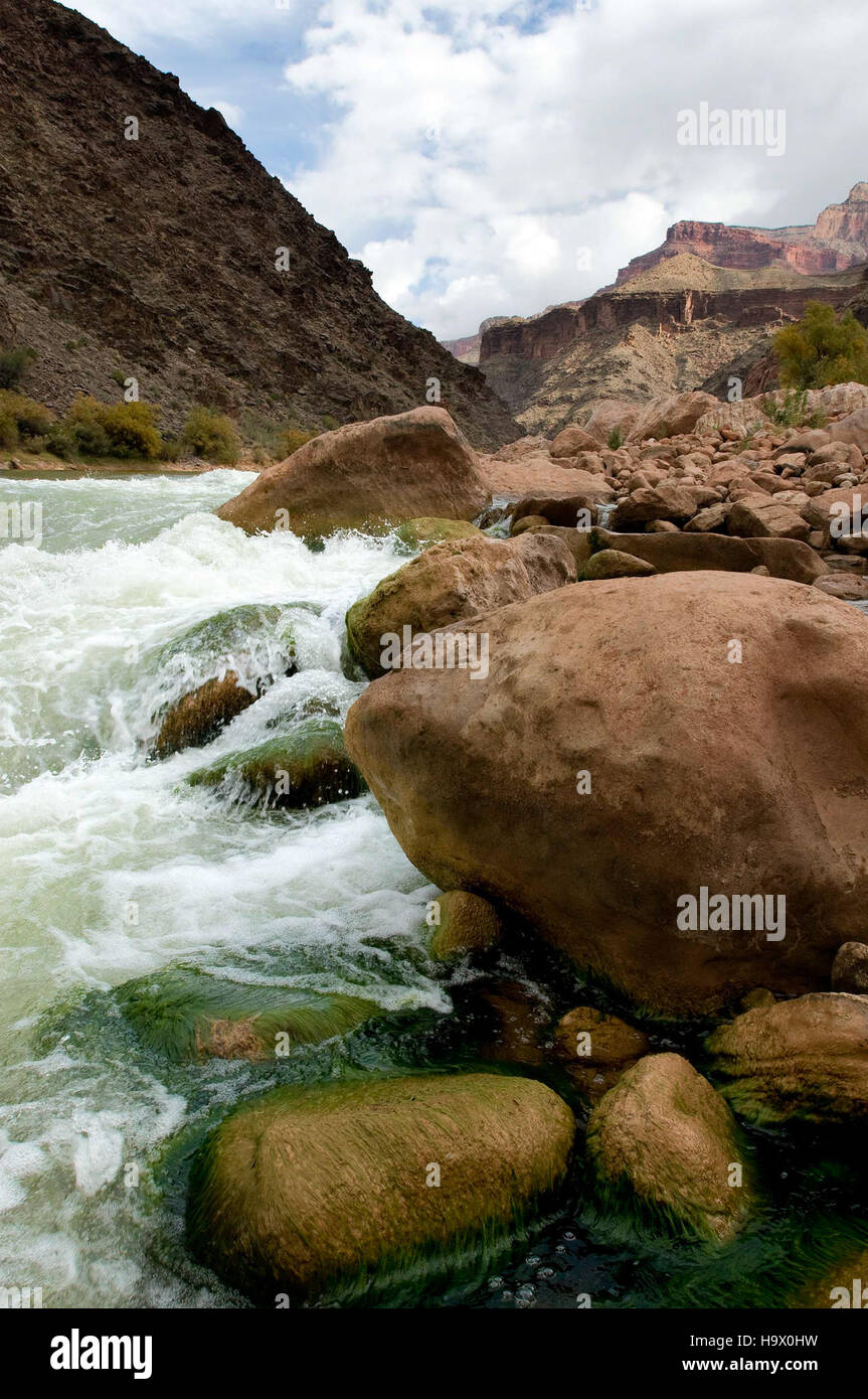 L'Hermit Rapid del Grand Canyon è un luogo popolare per il rafting e offre splendide vedute del fiume Colorado. Conosciuta per le sue difficili condizioni d'acqua, è una caratteristica fondamentale del vasto e suggestivo paesaggio del Grand Canyon. Foto Stock