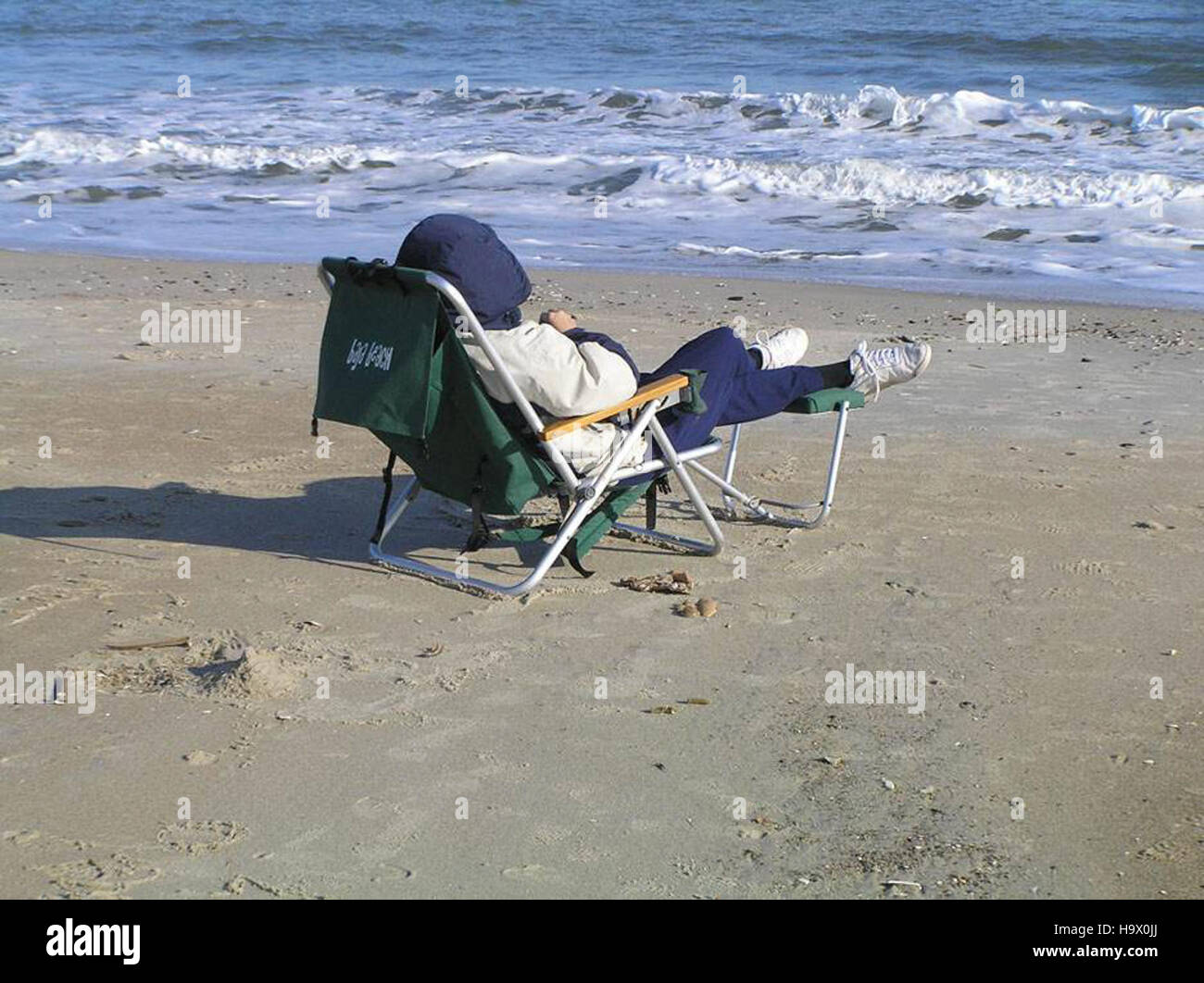 Un momento di pace al Mare Nazionale dell'Assateague Island, dove la fauna selvatica, compresi i cavalli nativi, riposano all'interno del rifugio. Il parco offre un ambiente protetto per diverse specie e funge da importante area di conservazione. Foto Stock