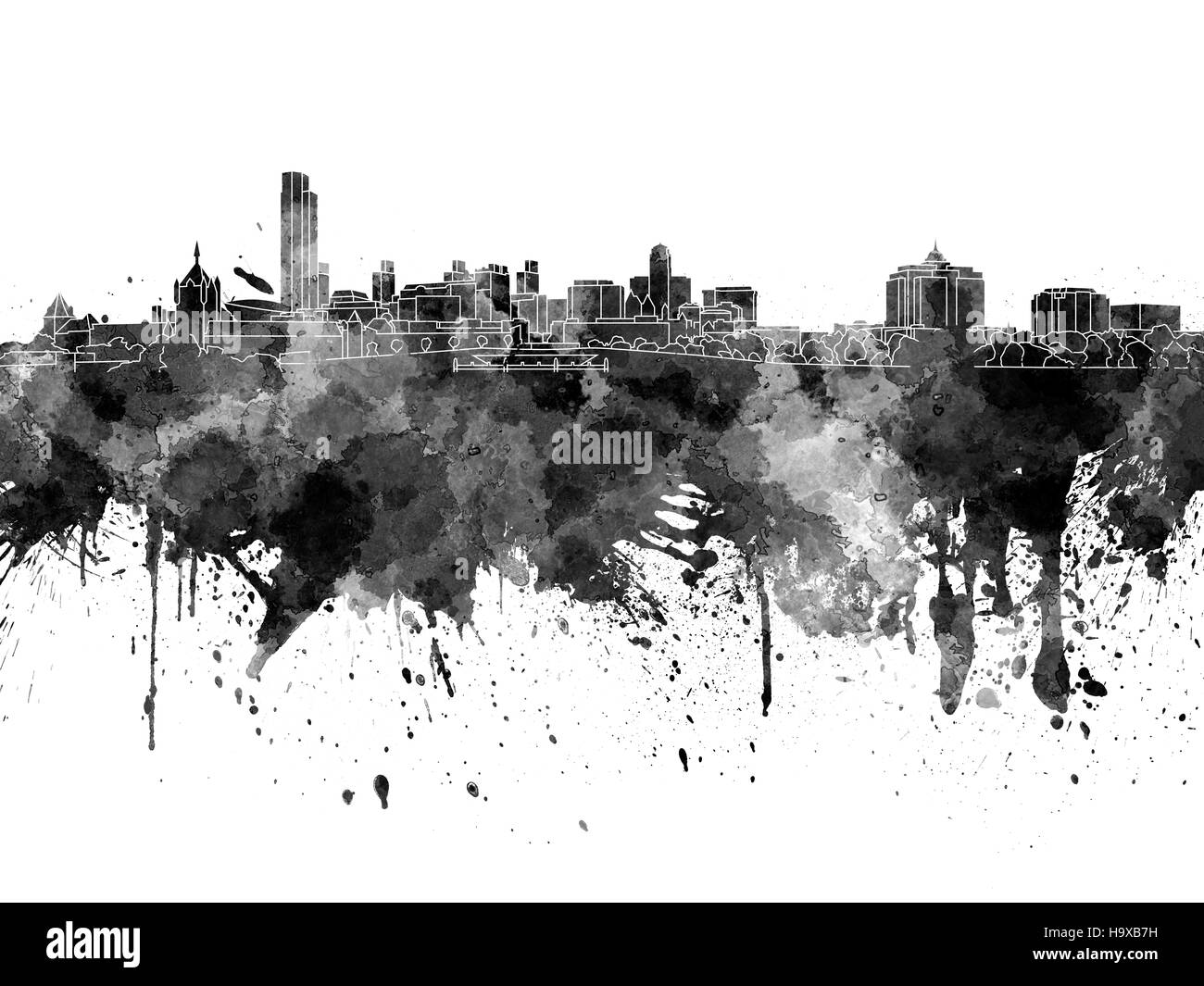 Albany skyline in acquerello nero su sfondo bianco Foto Stock