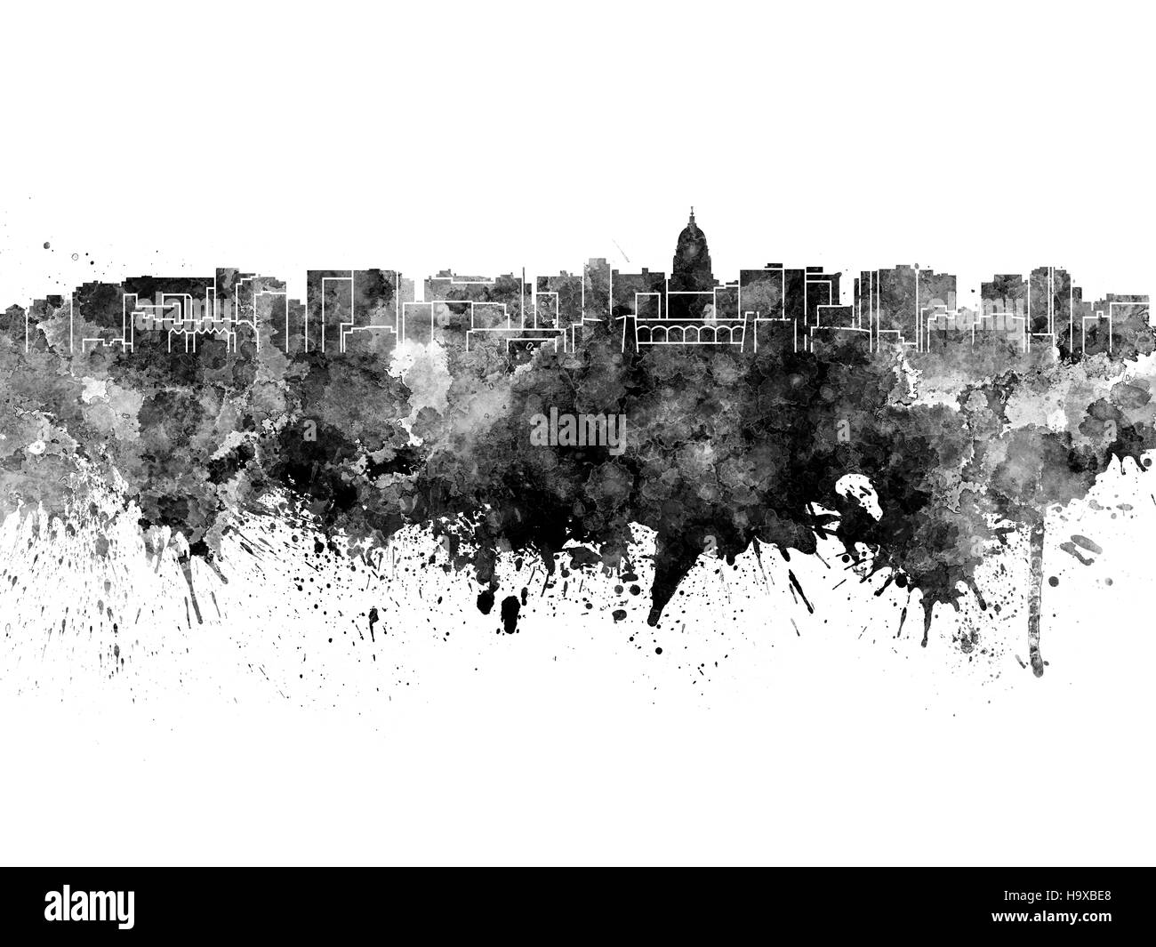 Madison skyline in acquerello nero su sfondo bianco Foto Stock