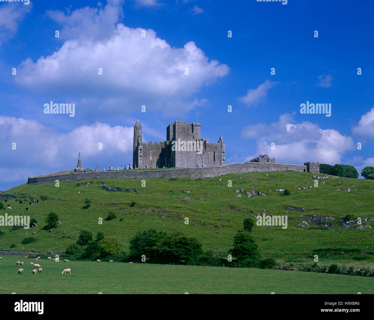 Rocca di Cashel, nella contea di Tipperary, Irlanda Foto Stock