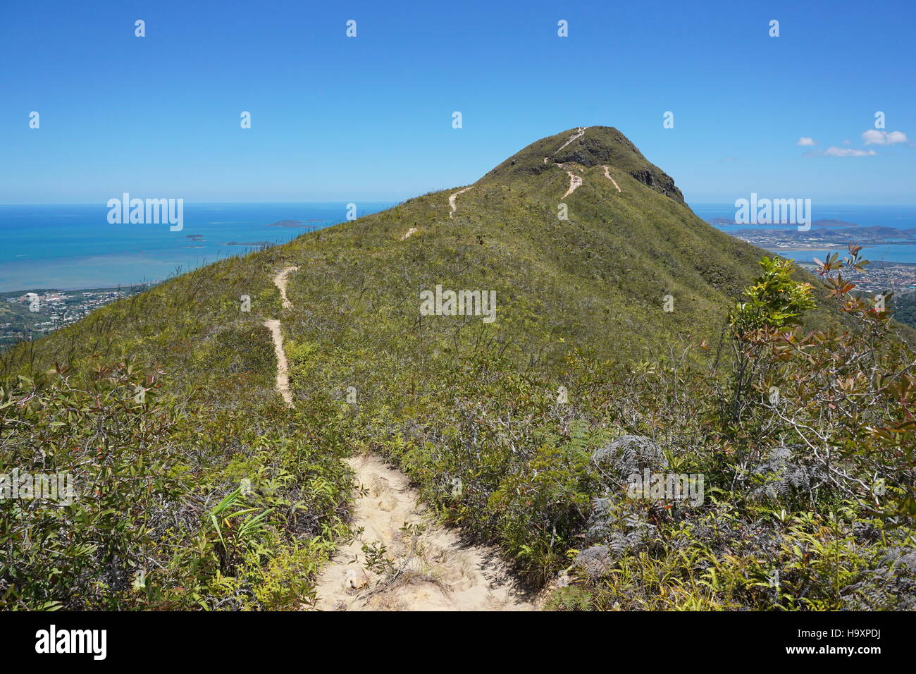 Il sentiero verso il picco Malaoui, Noumea, Nuova Caledonia, Sud Pacifico Foto Stock