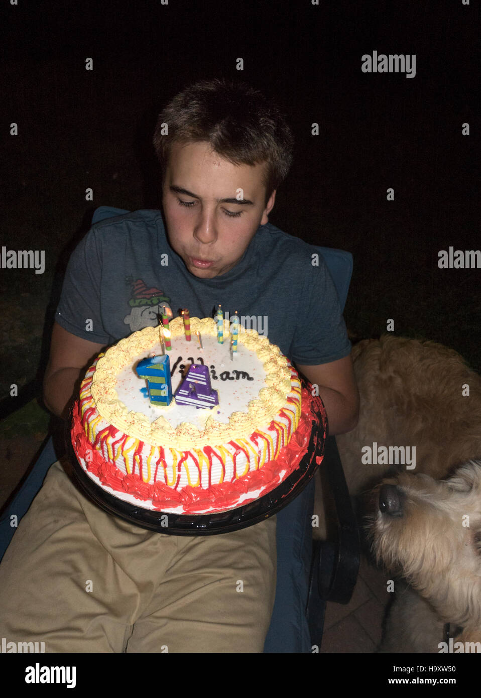 Ragazzo adolescente età 14 si brucia candele sulla sua torta di compleanno, mentre il suo cane vorrebbe prendere un morso. St Paul Minnesota MN USA Foto Stock
