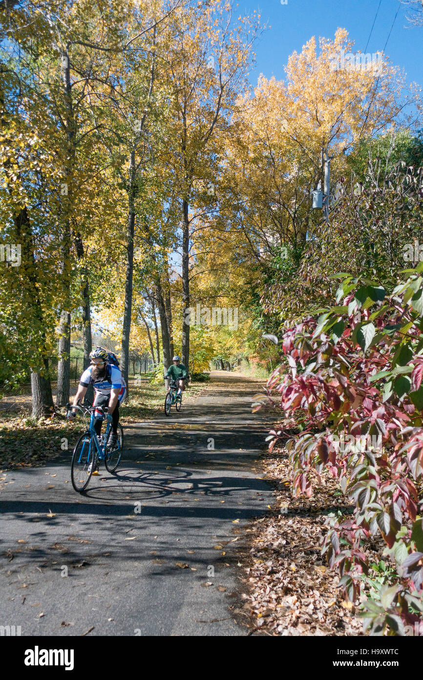 I ciclisti su un Autunno escursione lungo il Lago di cedro sentiero regionale. Minneapolis Minnesota MN USA Foto Stock