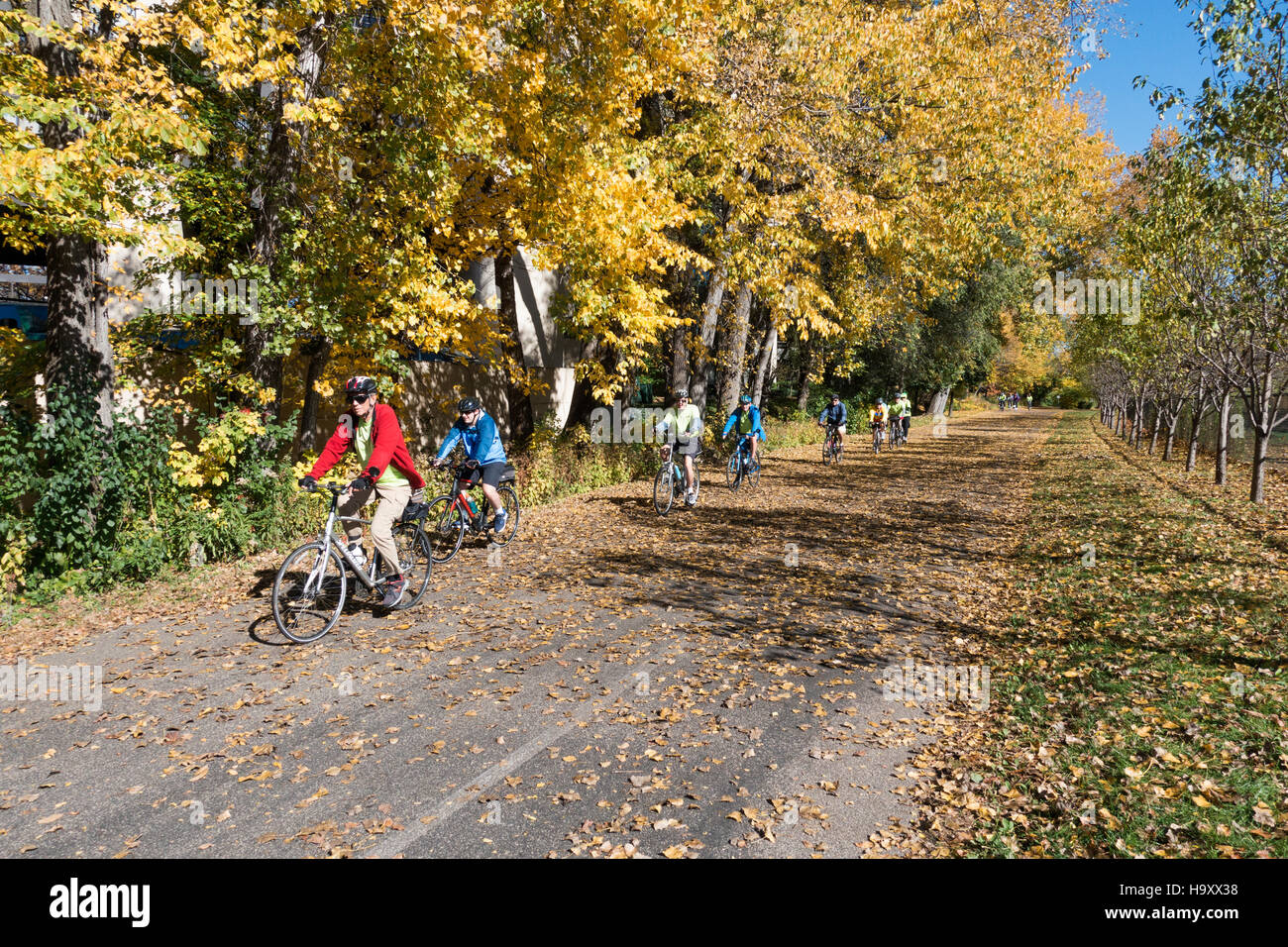 Gruppo di anziani adulti godendo di un autunno in bicicletta lungo il Lago di cedro sentiero regionale. St Louis Park Minnesota MN USA Foto Stock