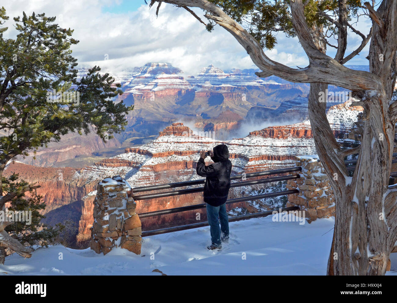 Un paesaggio innevato al Grand Canyon National Park il 24 dicembre 2012, che mostra la variegata bellezza naturale del parco. Le nevicate creano un contrasto incredibile con le formazioni rocciose del canyon. Foto Stock