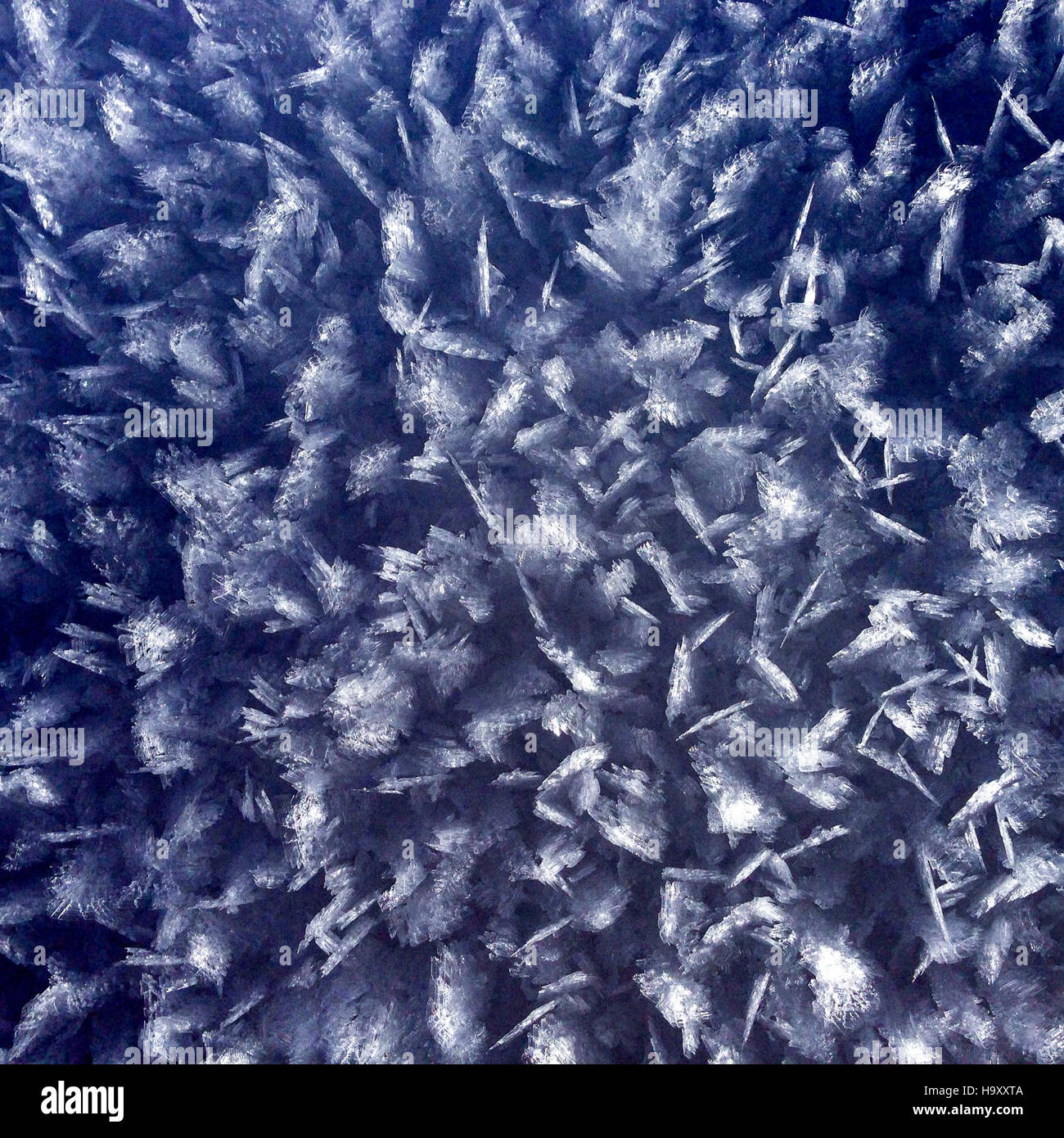 Frosted Flakes, un'installazione d'arte ispirata ai cereali, è esposta all'Arches National Park, mescolando creativamente la cultura pop con gli ambienti del parco naturale in una mostra d'arte pubblica. Foto Stock