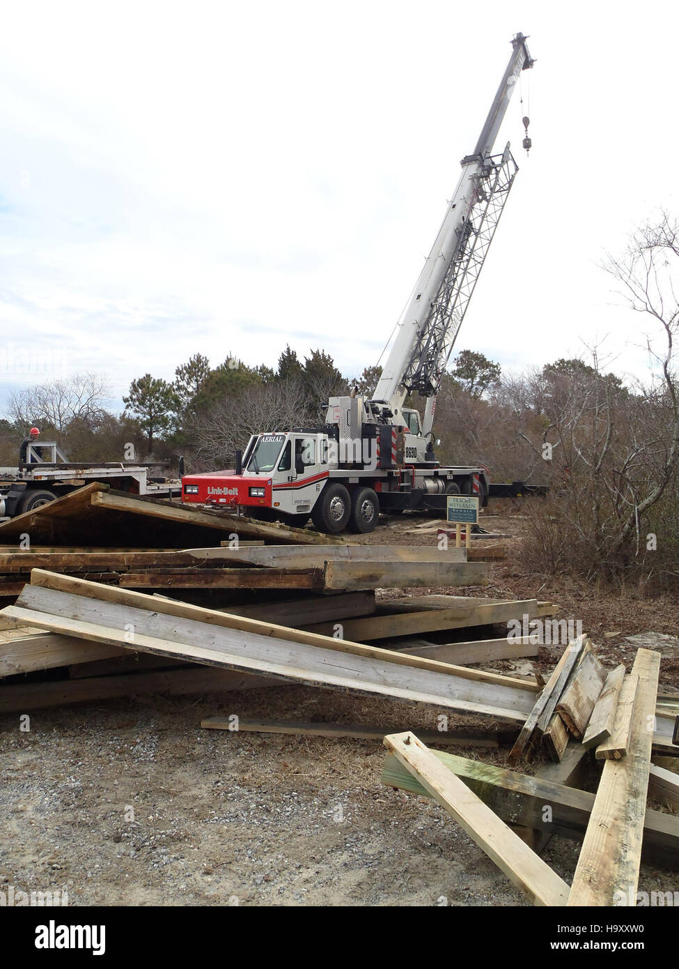 Life of the Marsh Trail nel Parco Nazionale dell'Assateague offre ai visitatori uno sguardo unico sulle zone umide del parco, mostrando la variegata flora e fauna che prosperano negli ecosistemi paludosi. Foto Stock