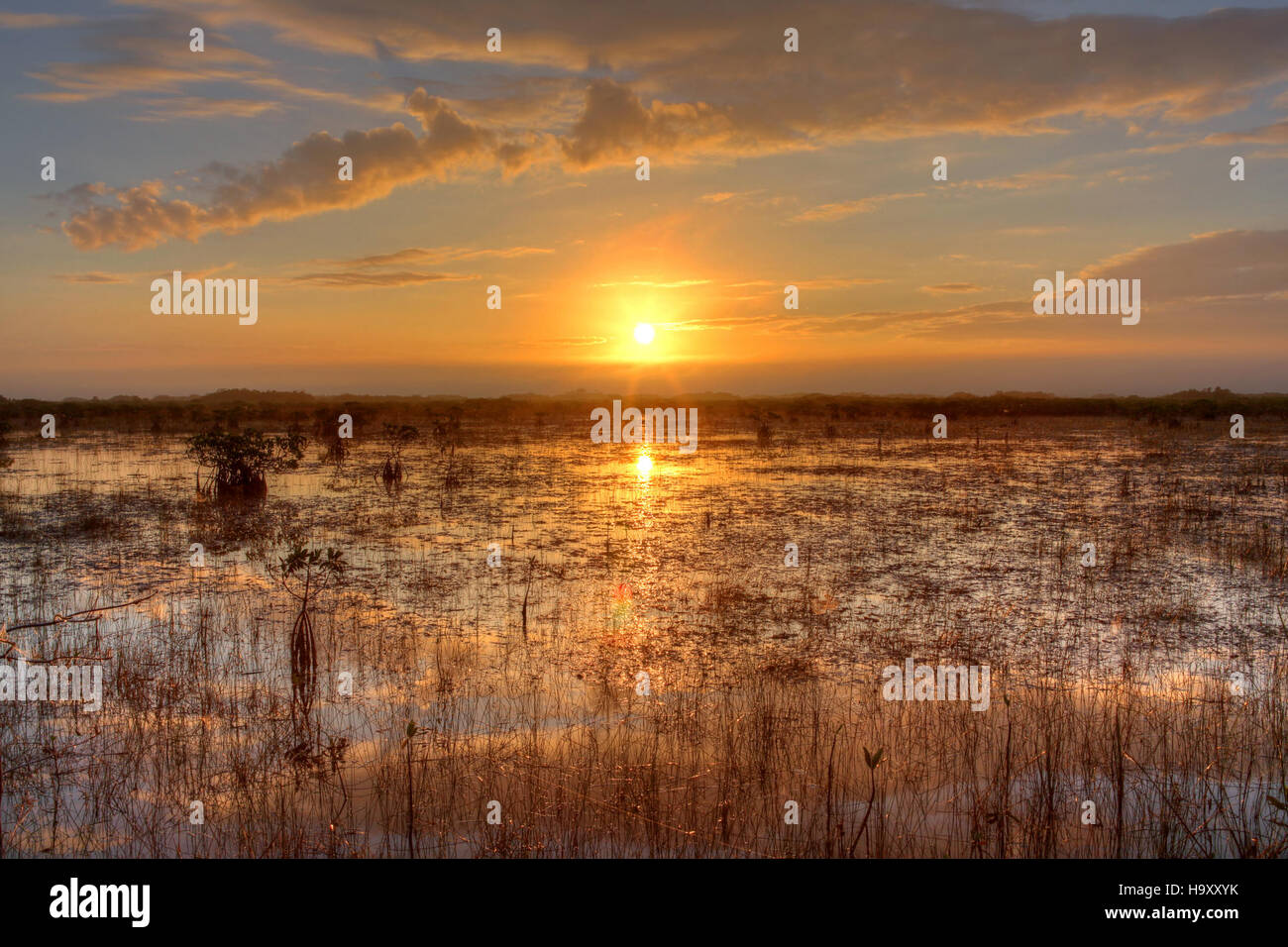 Uno splendido tramonto sul fiume d'erba nel Parco Nazionale delle Everglades, che mostra i vasti paesaggi umidi del parco e il suo ruolo fondamentale nella protezione di diverse specie e habitat. Foto Stock