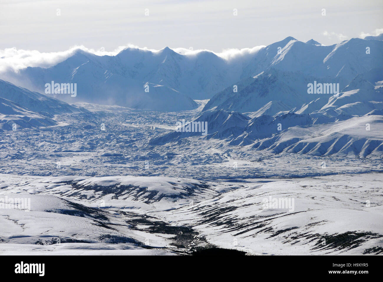 Nikolai 11 4-8-2013 cattura un momento di esplorazione scientifica in un ambiente naturale. L'immagine riflette lo studio della scienza ambientale e l'importanza della raccolta di dati per comprendere gli ecosistemi e la biodiversità. Foto Stock
