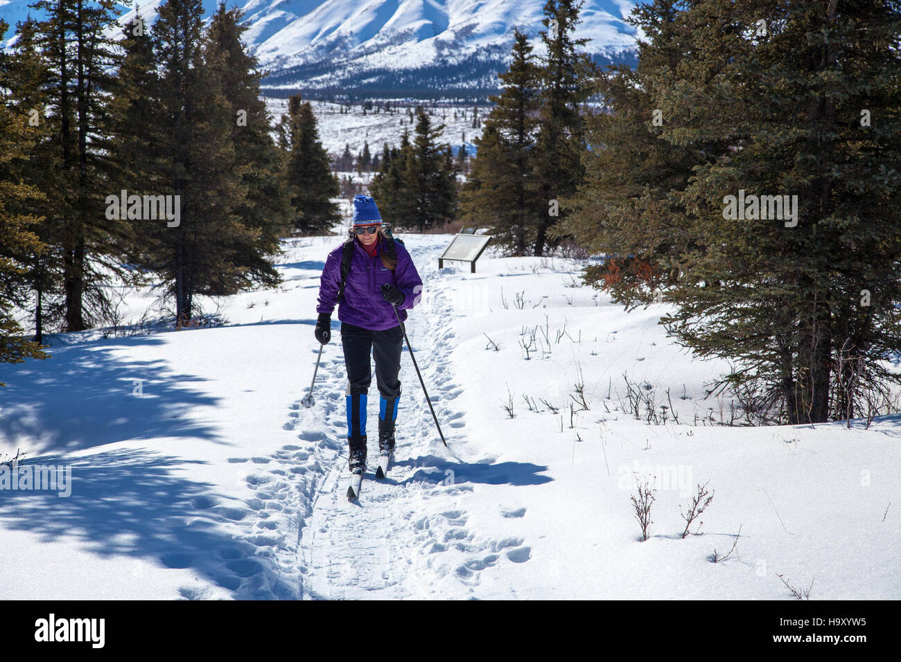 La vista sulle montagne del Denali National Park offre ai visitatori l'opportunità di sciare in un iconico paesaggio dell'Alaska. Quest'area è famosa per il suo terreno impegnativo e le viste mozzafiato di Denali, la vetta più alta del Nord America. Foto Stock