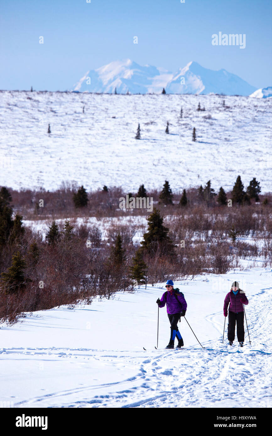Sciare a Mountain Vista nel Denali National Park offre ai visitatori un'opportunità unica di sperimentare i paesaggi mozzafiato del parco mentre si divertono con gli sport invernali. La variegata fauna selvatica e l'ecosistema del parco lo rendono una destinazione popolare per gli appassionati di attività all'aria aperta. Foto Stock