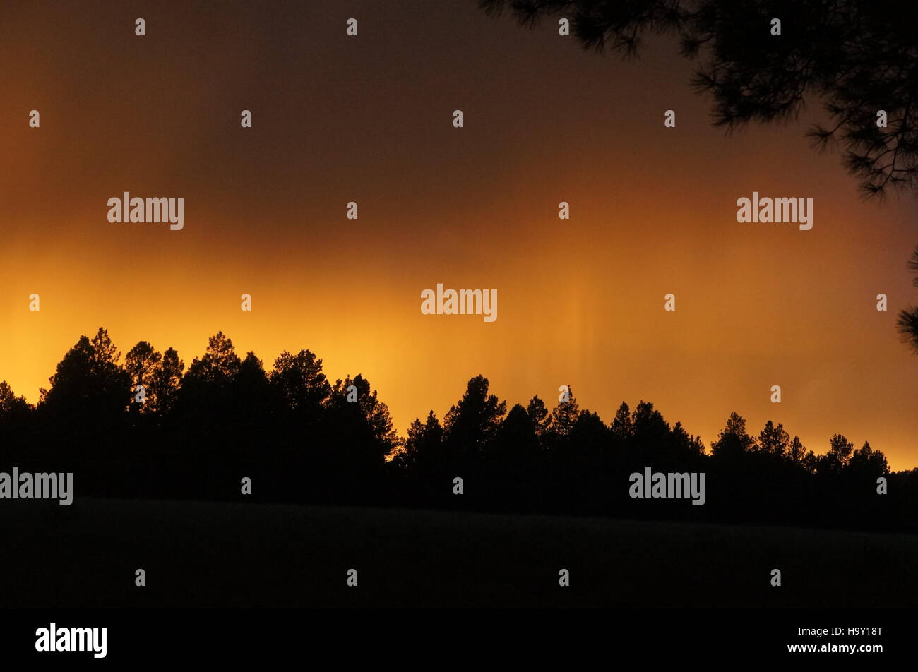 Fuoco nel cielo Foto Stock