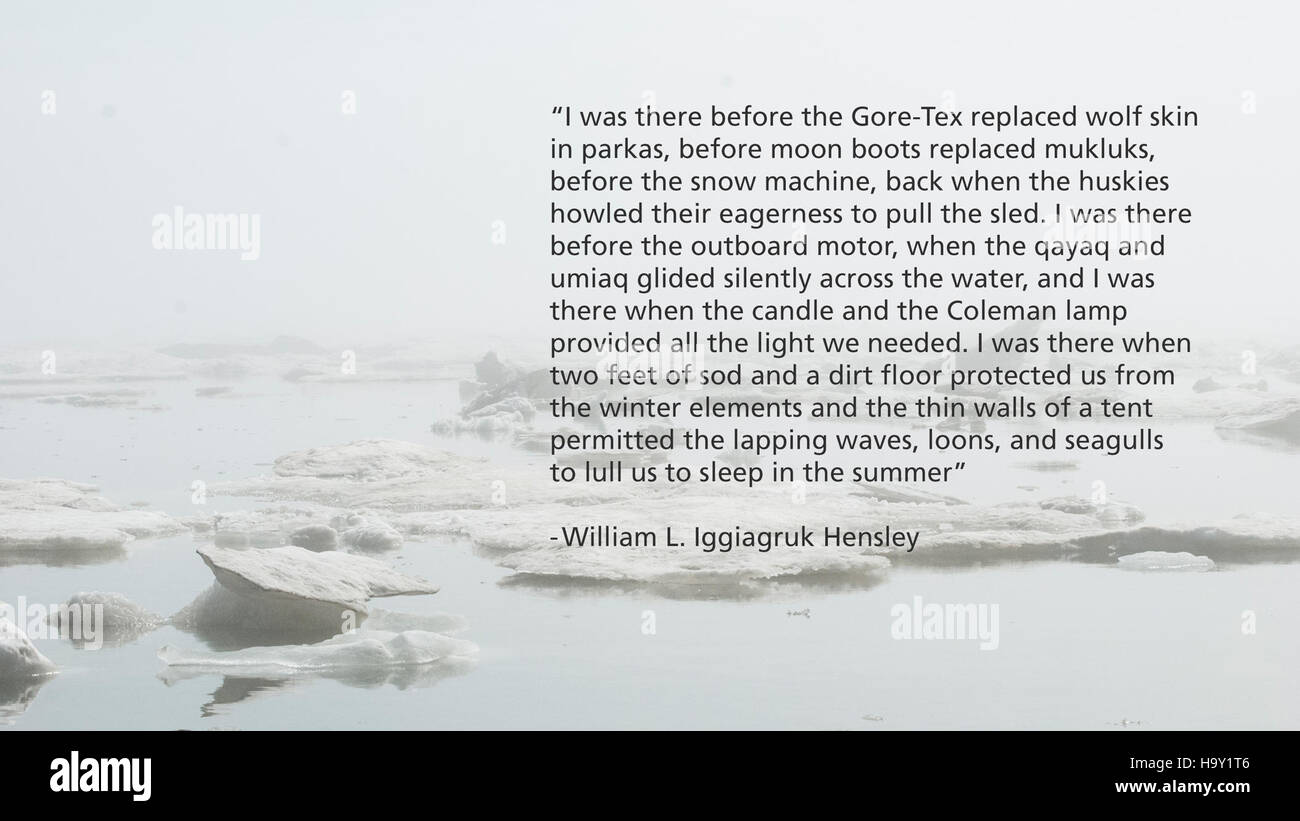La nebbia e il ghiaccio marino coprono il Bering Land Bridge, offrendo uno sguardo alle dure e mutevoli condizioni di questa importante regione. L'area è fondamentale per comprendere le migrazioni umane passate e gli attuali mutamenti ambientali. Foto Stock