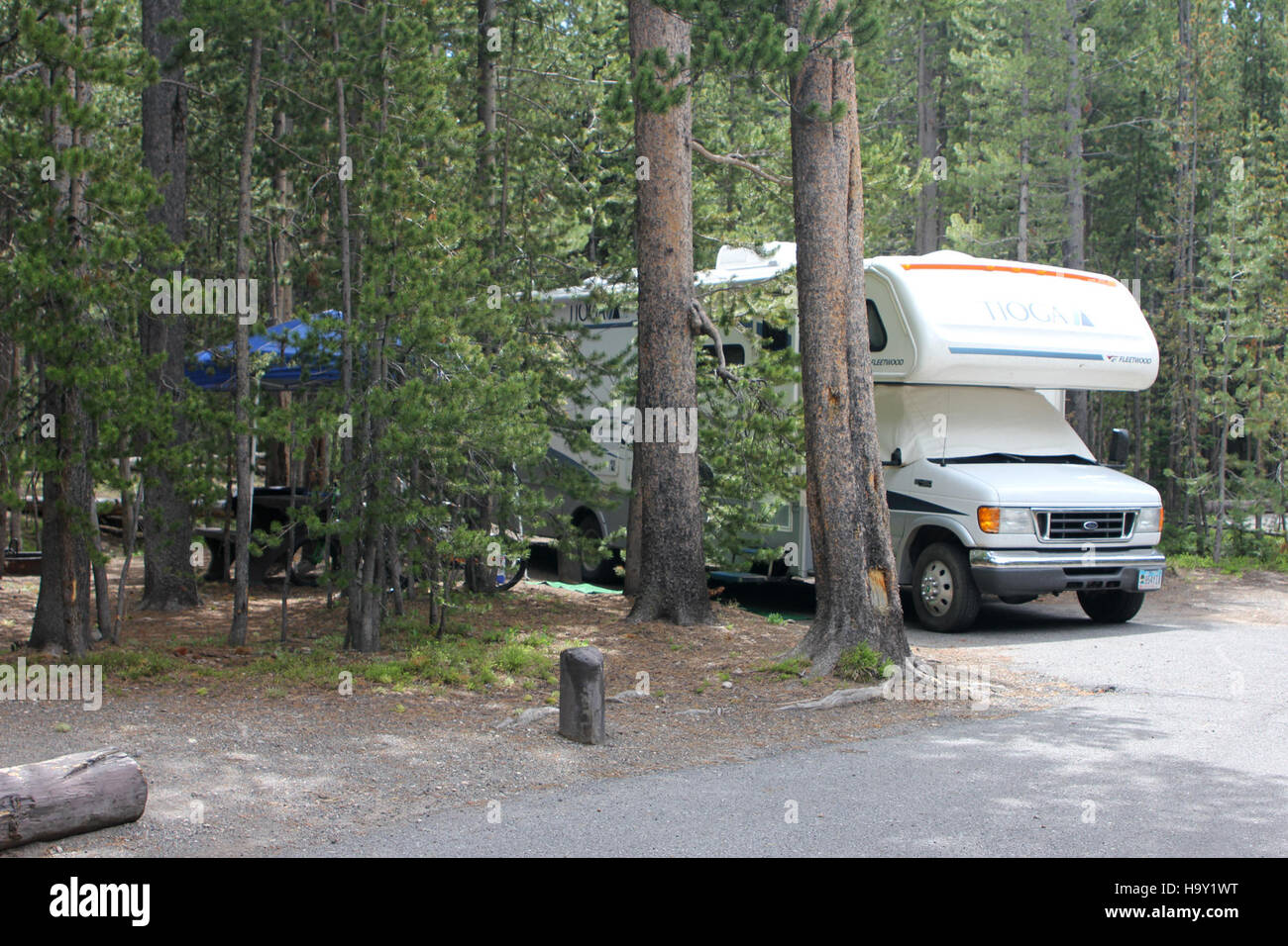 Canyon Campground nel parco nazionale di Yellowstone offre un'esperienza di campeggio panoramica e tranquilla. I visitatori possono godere di viste mozzafiato sul fiume Yellowstone, esplorare i sentieri escursionistici nelle vicinanze e immergersi nella bellezza naturale del parco. Foto Stock