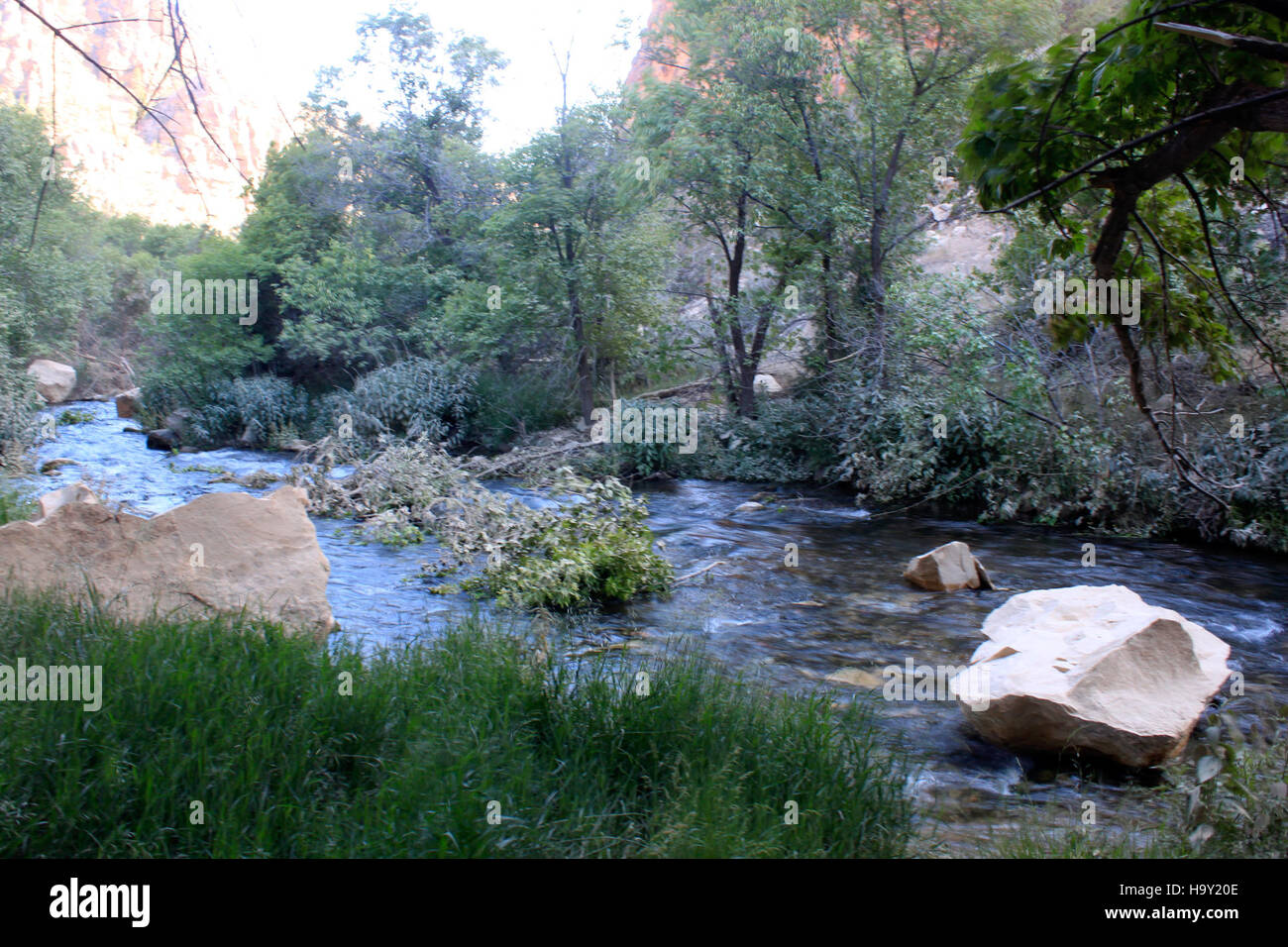 Un visitatore esplora una mostra di fossili di dinosauri al Dinosaur National Monument, evidenziando l'importanza del sito negli studi paleontologici e la sua ricca storia della vita antica. Il monumento conserva fossili significativi ed educa il pubblico sulle creature preistoriche. Foto Stock