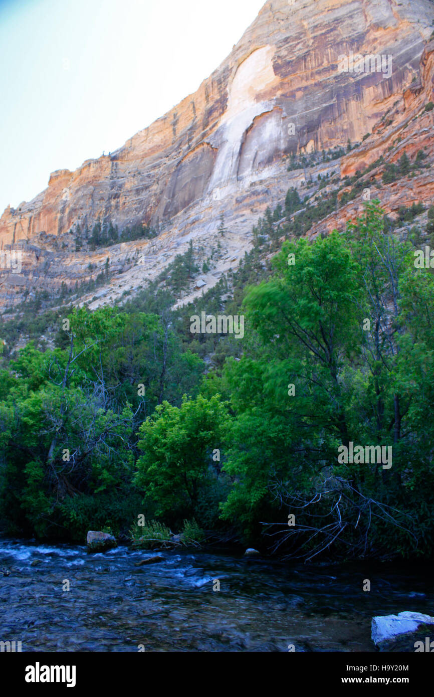 Un'impronta fossilizzata di dinosauro scoperta in un parco nazionale, che offre preziose informazioni sul passato preistorico. La scoperta contribuisce alla comprensione della vita antica e degli ecosistemi che hanno sostenuto queste creature. Foto Stock