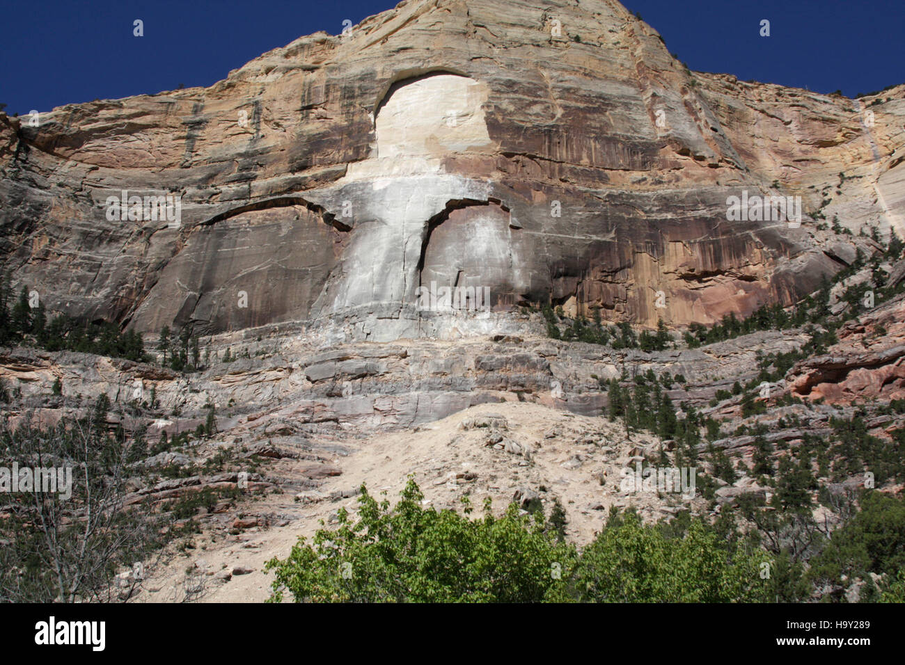 Un'immagine accattivante di una mostra di dinosauri fossilizzati in un parco nazionale, che mette in risalto le creature preistoriche che un tempo vagavano nella zona, offrendo ai visitatori uno sguardo sul lontano passato della Terra. Foto Stock