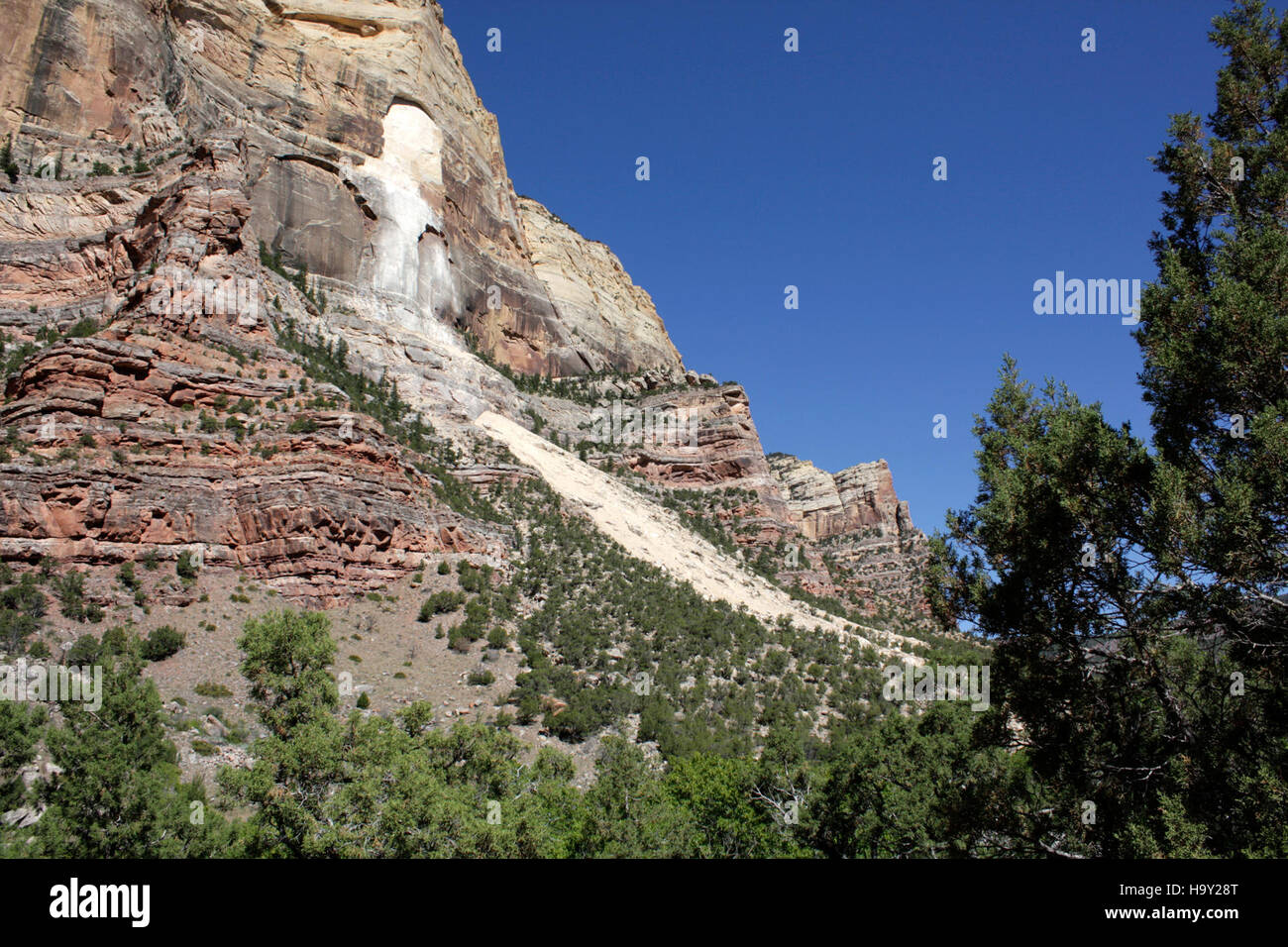 Il Dinosaur National Monument conserva fossili risalenti al periodo giurassico. Offre l'opportunità di studiare la vita preistorica nel contesto del paesaggio unico e della storia geologica del parco. Foto Stock