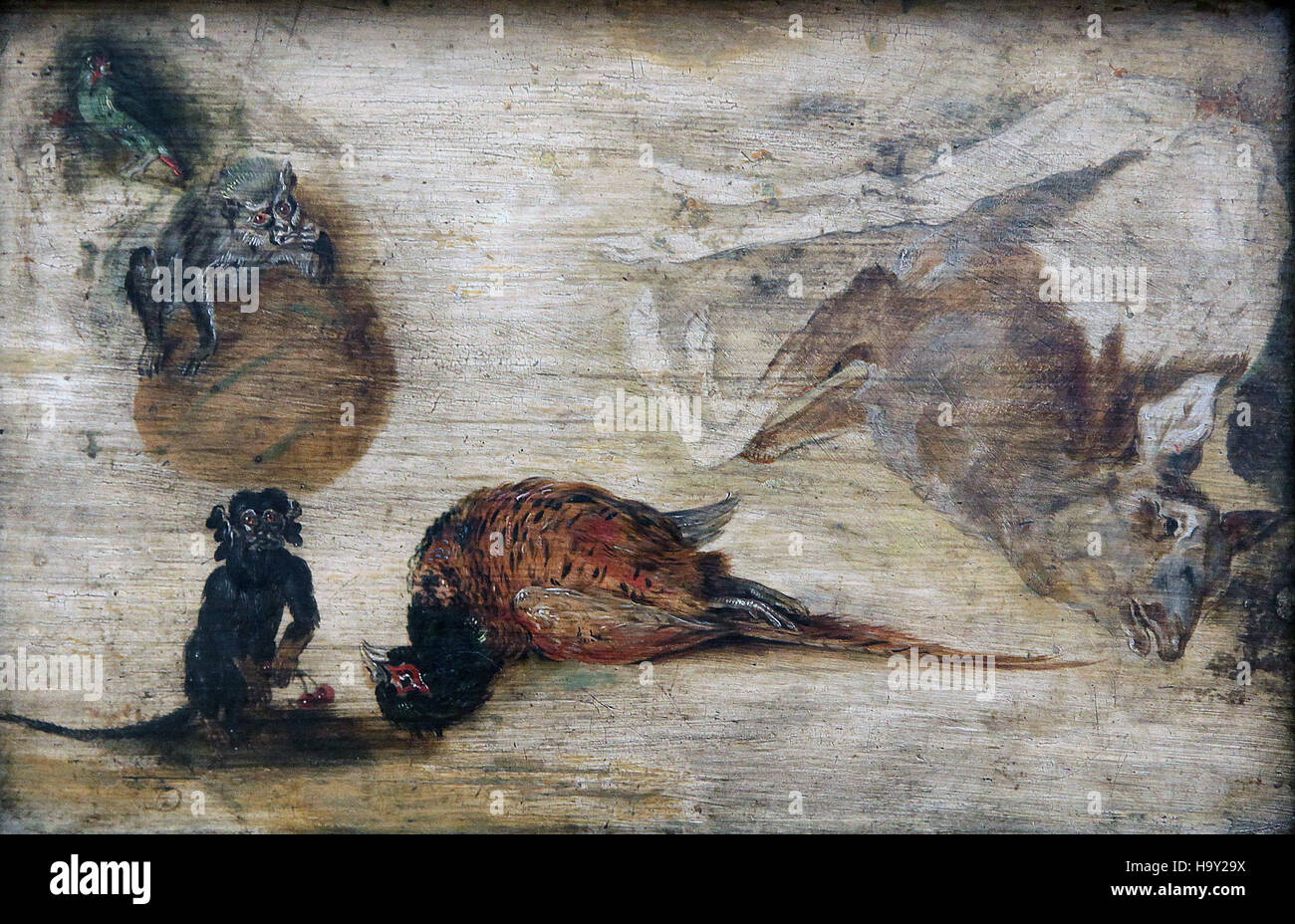 Studio delle scimmie un cervo e altri animali 1623 di Jan Brueghel (anche Bruegel) il giovane pittore barocco fiammingo 1601-1678 Foto Stock