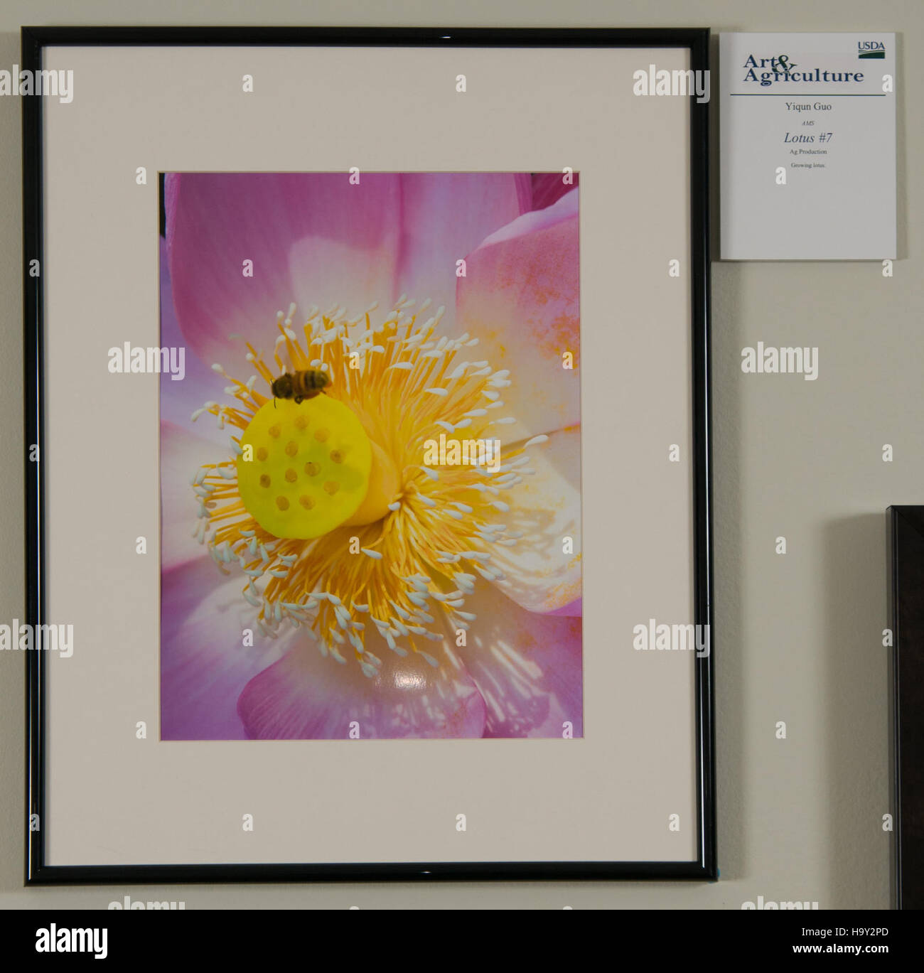 L'USDA, con sede a Washington D.C., è un'agenzia federale chiave che sostiene l'agricoltura attraverso politiche, ricerche e sensibilizzazione pubblica. Promuove anche l'arte e la cultura agricola attraverso varie mostre e gallerie che mostrano l'importanza dell'agricoltura nella storia degli Stati Uniti. Foto Stock