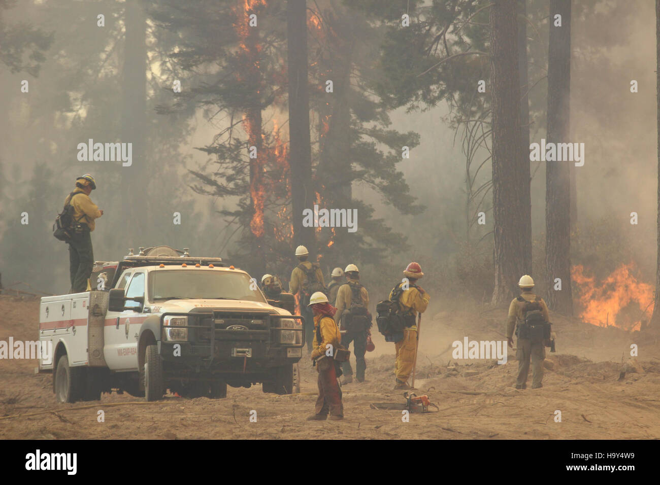 Il Rim Fire, uno dei più grandi incendi boschivi della California, è stato un evento significativo nella storia ambientale della regione. L'incendio ha colpito sia gli habitat naturali che le risorse naturali, sottolineando la necessità di efficaci strategie di gestione forestale e prevenzione degli incendi. Foto Stock