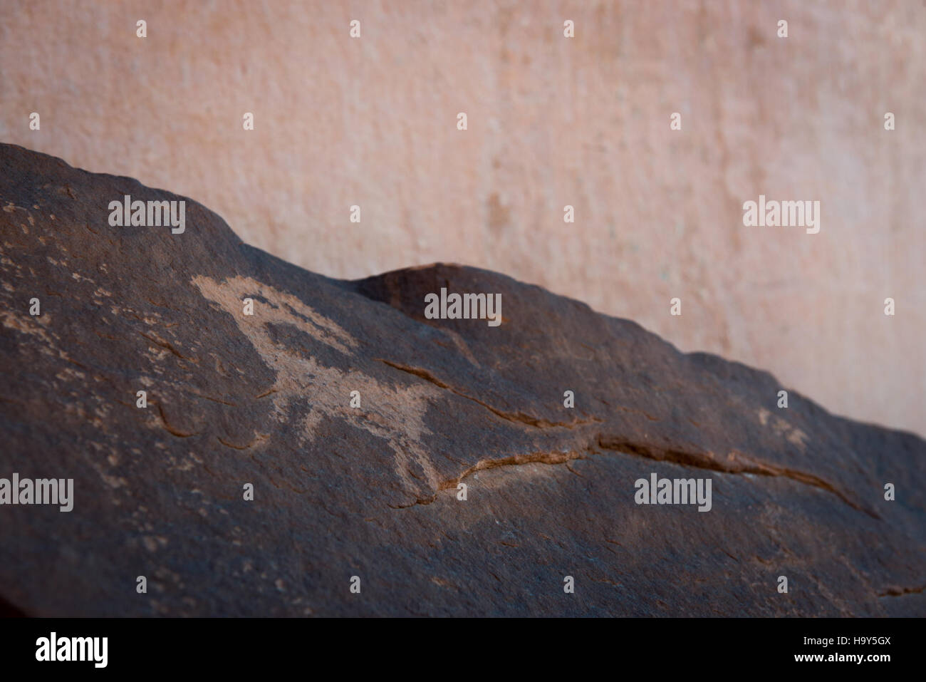 9627817227 archesnps Courthouse lavare Petroglyph Foto Stock