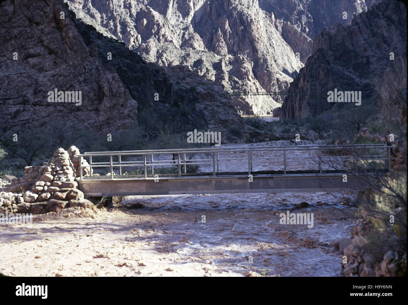 Grand Canyon 11989314073 nps Grand Canyon alluvione del 1966 Bright Angel Creek. 2453 Foto Stock