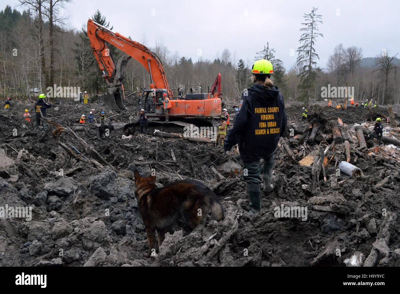 Questa immagine evidenzia un'operazione di risposta alle catastrofi che coinvolge un cane di soccorso, parte degli sforzi per assistere le vittime di un disastro scivoloso, mostrando interventi di risposta rapida e operazioni di recupero. Foto Stock