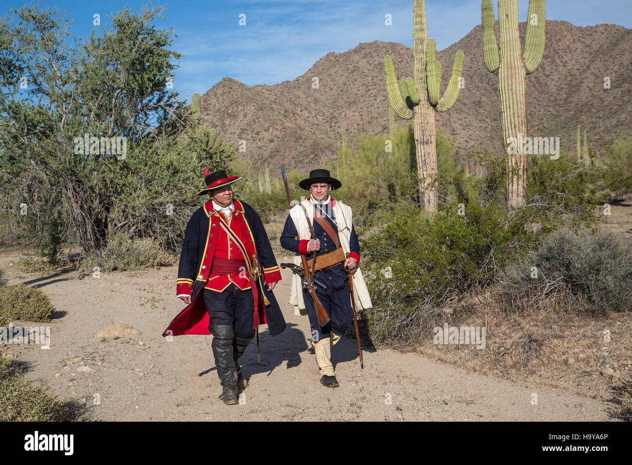 Questa fotografia cattura Anza nel deserto di Sonora in Arizona, situato all'interno del Sonoran Desert National Monument. L'immagine mostra il paesaggio desertico unico e la biodiversità dell'area, evidenziando la bellezza naturale e l'importanza ecologica di questa regione protetta. Foto Stock
