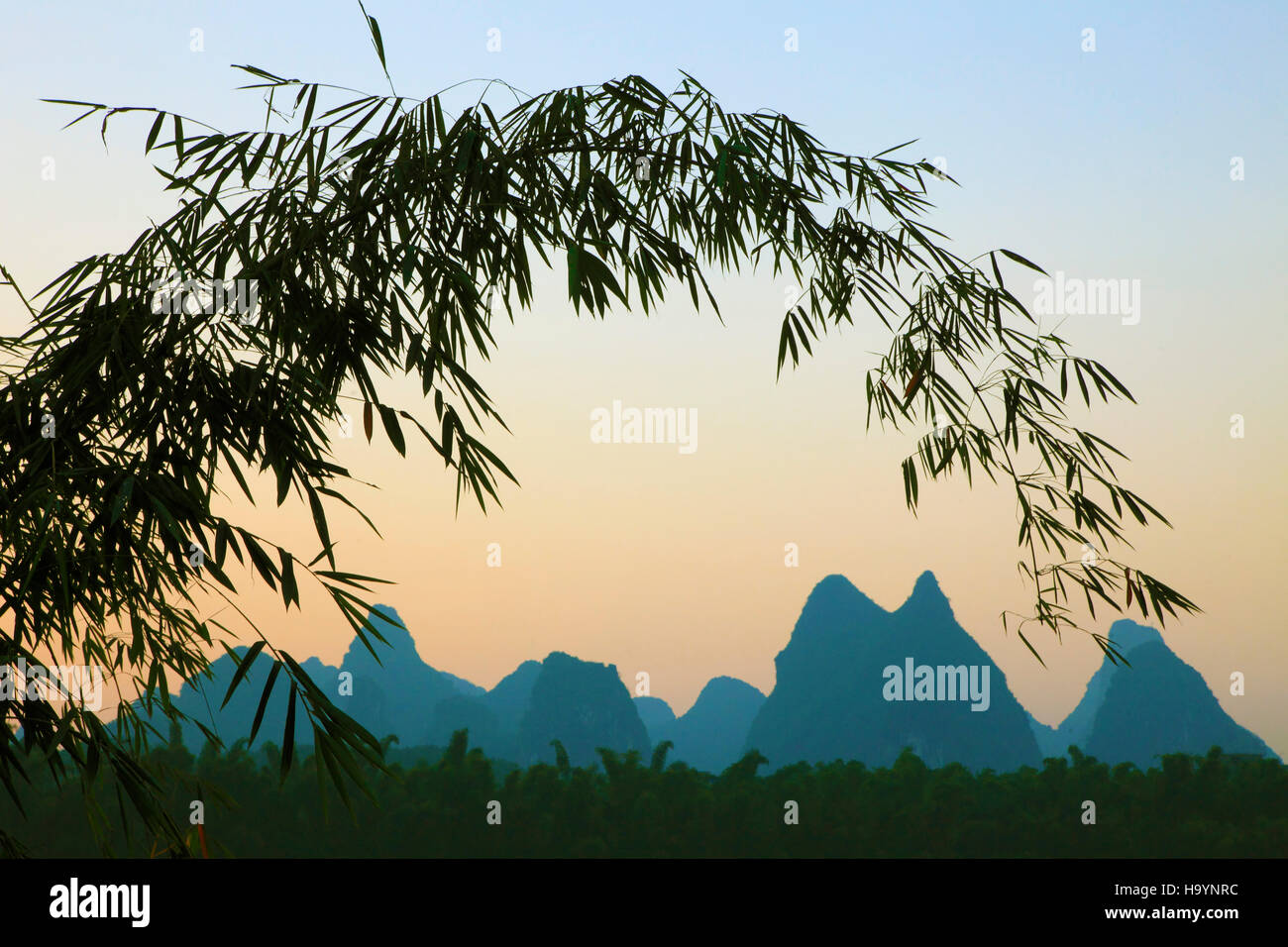 La Cina, nel Guangxi, Yangshuo, sunrise, bambù, Foto Stock