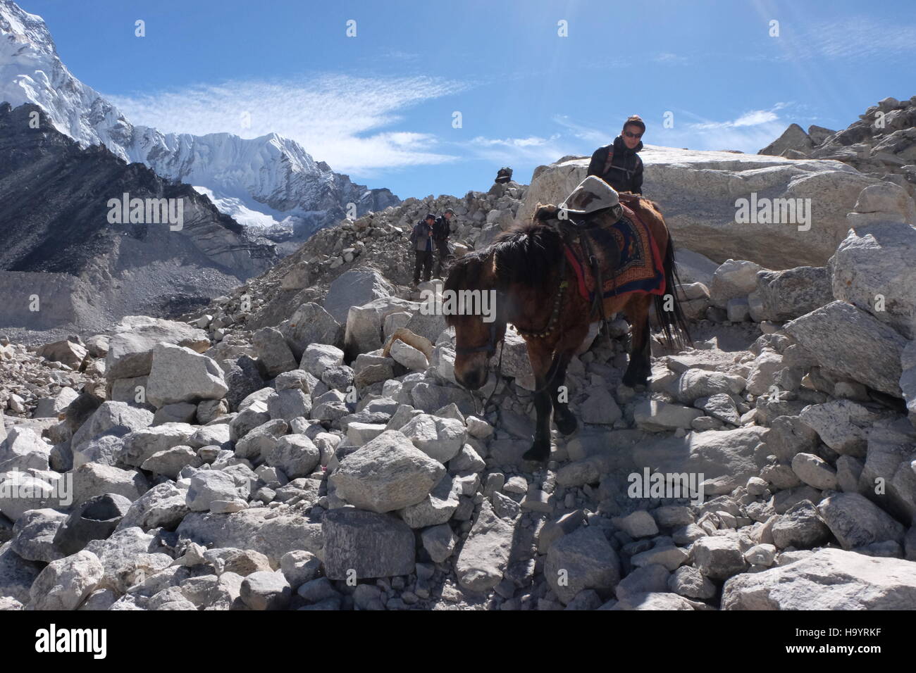 Un cavallo fa il suo modo lungo il percorso verso il campo base Everest, Nepal Foto Stock