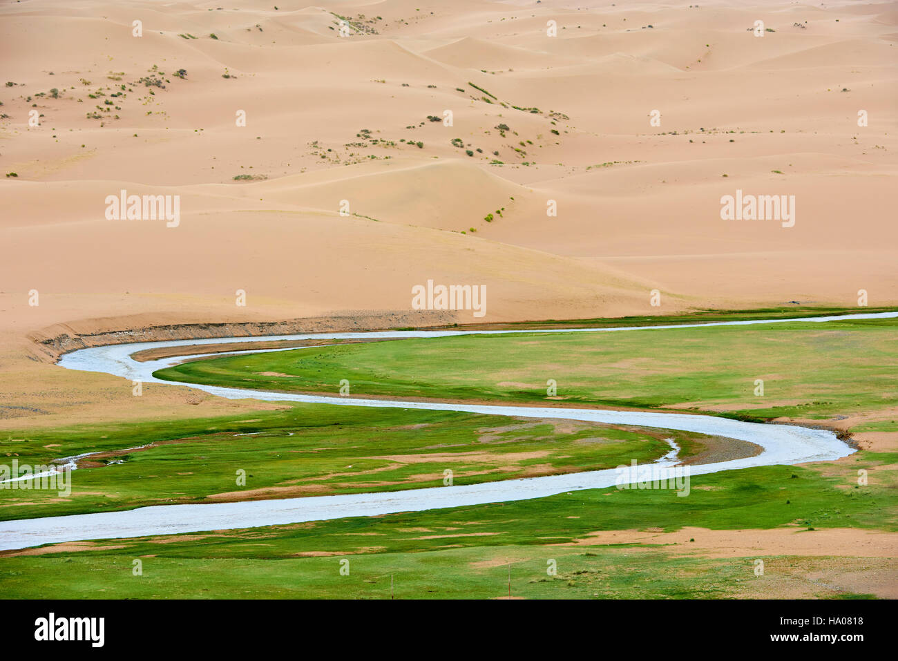 Mongolia, Zavkhan provincia, deserte paesaggio di dune di sabbia nella steppa Foto Stock