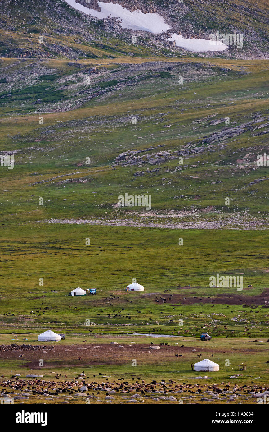 Mongolia, Bayan-Ulgii provincia, Mongolia occidentale, parco nazionale di Tavan Bogd, campo nomadi del popolo kazako in montagne degli Altai Foto Stock