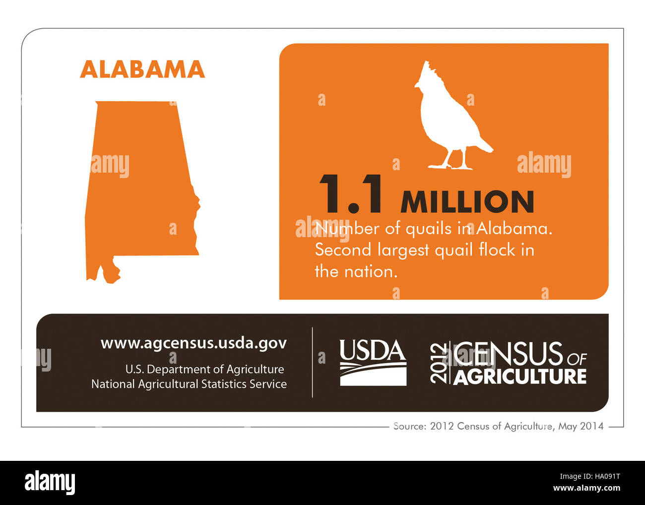 Il progetto State Infographics dell'USDA per il New Jersey fornisce informazioni sull'agricoltura, la conservazione della natura e la sicurezza alimentare, evidenziando gli sforzi dello stato per sostenere l'agricoltura sostenibile e le pratiche di conservazione. Foto Stock