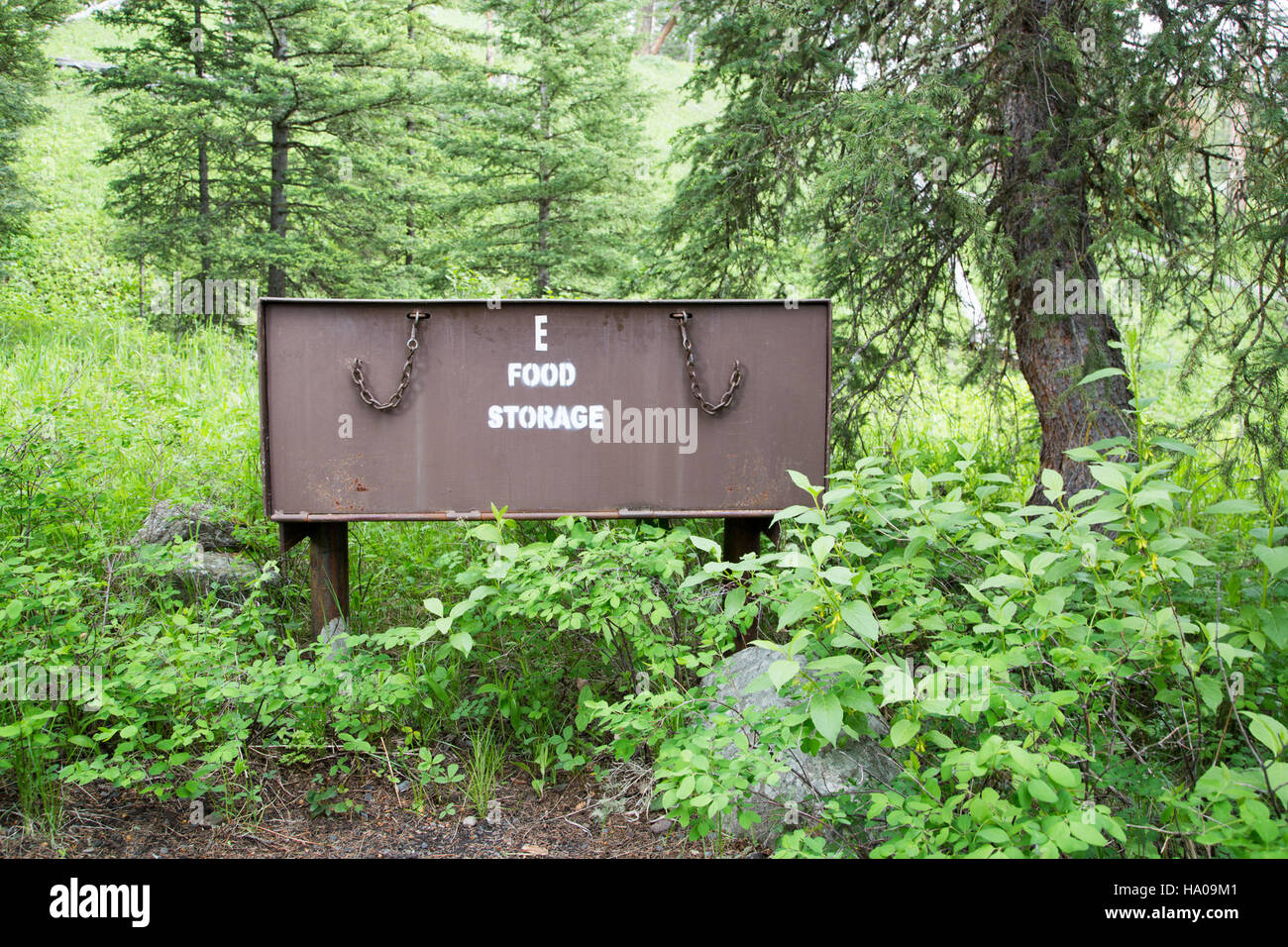 Il Pebble Creek Campground nel parco nazionale di Yellowstone offre scatole per conservare cibo a prova di orso per garantire la sicurezza sia dei visitatori che della fauna selvatica. Queste unità di stoccaggio fanno parte degli sforzi del parco per ridurre al minimo i conflitti tra uomo e fauna selvatica, preservando al contempo gli ecosistemi naturali del parco. Foto Stock