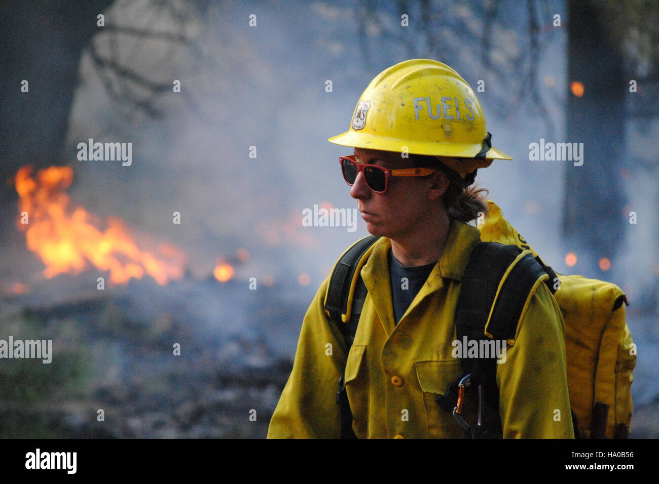 I vigili del fuoco combattono il fuoco del complesso Sitgreaves, un grande incendio in Arizona. L'USDA sostiene gli sforzi di gestione degli incendi per prevenire i danni agli ecosistemi, proteggere la vita umana e mantenere la salute delle foreste nelle regioni soggette a incendi boschivi. Foto Stock