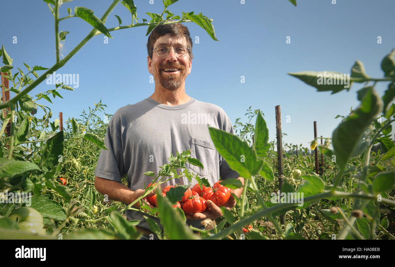L'agricoltore dell'Oregon Chris Roehm pratica l'agricoltura biologica, coltivando una varietà di verdure, tra cui i pomodori, concentrandosi sulla sostenibilità e sui metodi agricoli rispettosi dell'ambiente per promuovere una produzione alimentare sana. Foto Stock
