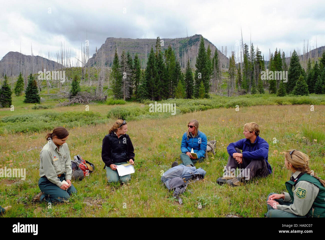 15658959915 usdagov un gruppo di Stati Uniti Forest Service dipendenti raccoglie in cime piane deserto Foto Stock