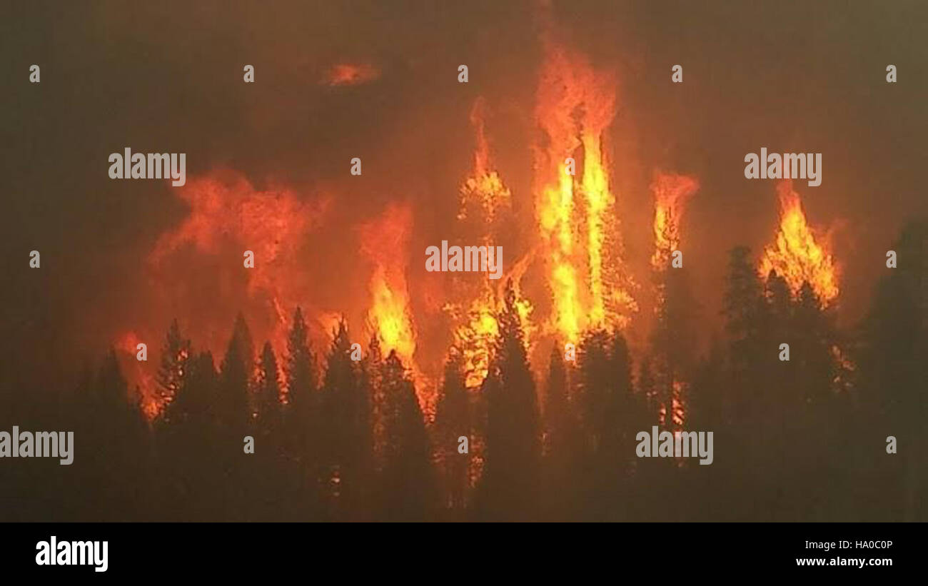 Un incendio brucia all'interno di una foresta nazionale gestita dal servizio forestale degli Stati Uniti. Questi incendi fanno parte del ciclo naturale degli ecosistemi forestali, ma richiedono un'attenta gestione per prevenire danni eccessivi e mantenere la salute dell'ecosistema. Il servizio forestale utilizza varie tecniche per monitorare e gestire gli incendi, con l'obiettivo di proteggere sia le risorse naturali che le infrastrutture umane. Foto Stock