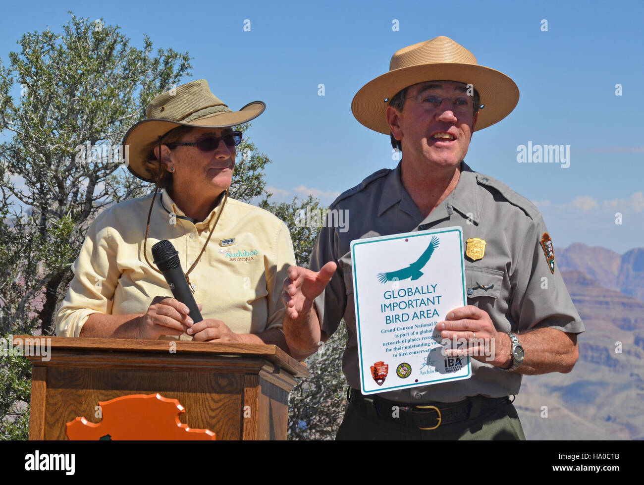 Il Parco Nazionale del Grand Canyon è stato designato come area ornitologica di importanza mondiale, riconoscendo il suo significato per la conservazione delle specie di uccelli. La dedica sottolinea il ruolo del parco nel preservare gli habitat degli uccelli migratori e sostenere diverse popolazioni aviarie all'interno degli ecosistemi unici del parco. Foto Stock