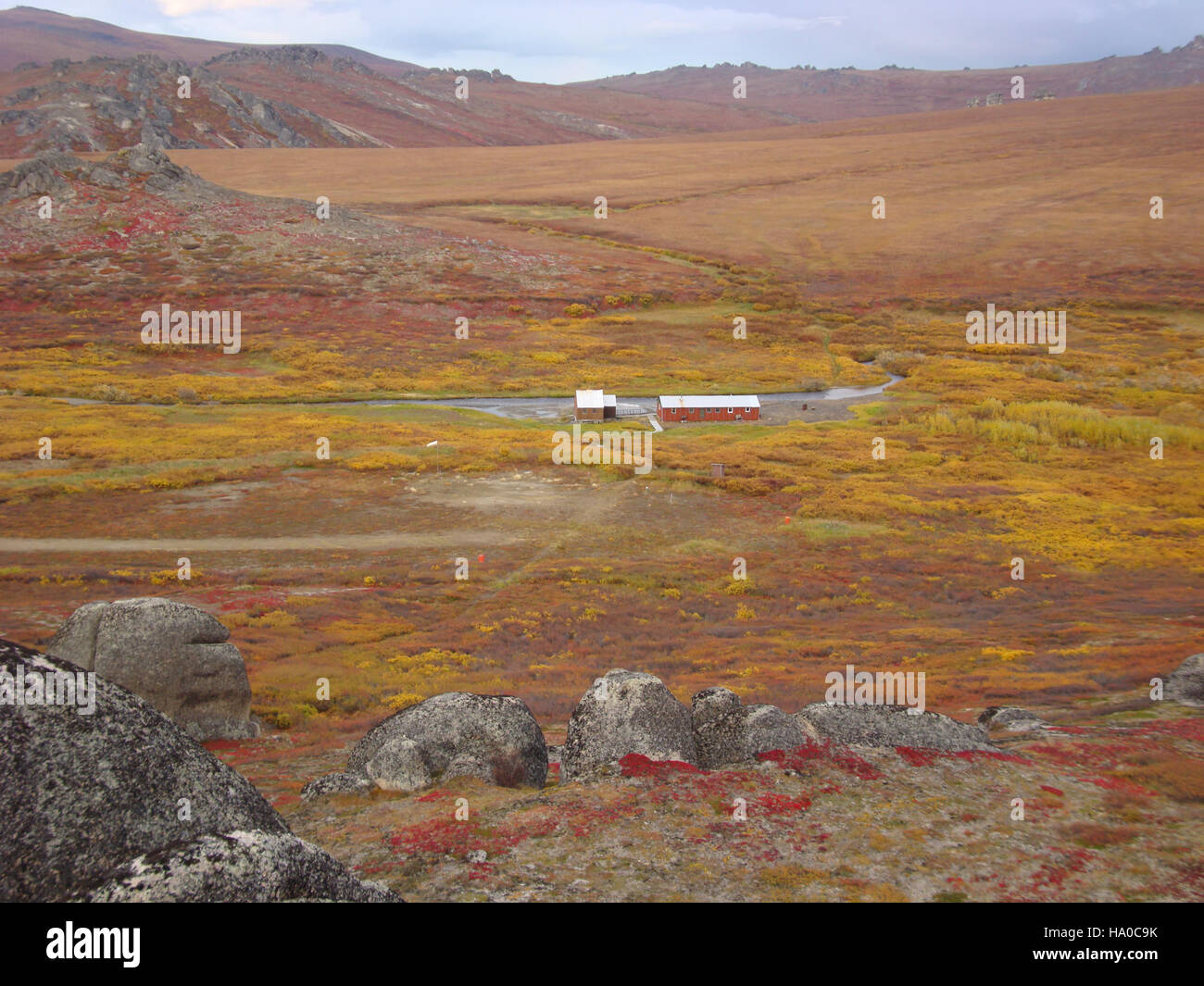 Il Bering Land Bridge era un collegamento terrestre naturale tra la Siberia e l'Alaska durante l'era glaciale, consentendo la migrazione di animali e umani. È un argomento critico per comprendere la storia umana e lo sviluppo delle popolazioni native americane. Questo ponte esisteva circa 15.000 anni fa, collegando due continenti durante l'epoca del Pleistocene. Foto Stock